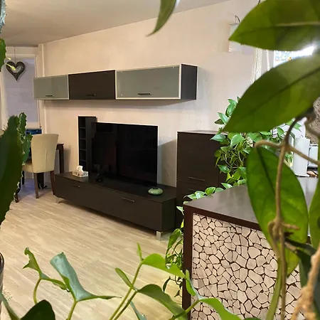 Mountain View Apartament Monthey