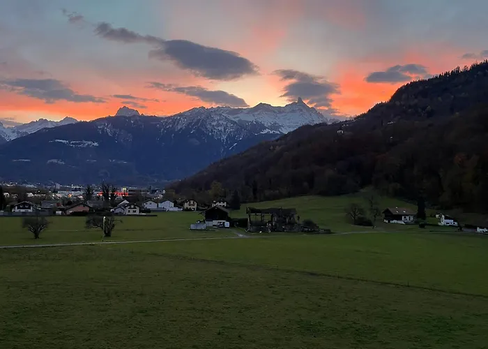 Mountain View * モンテー